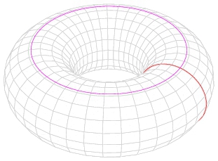 Tor_cycles